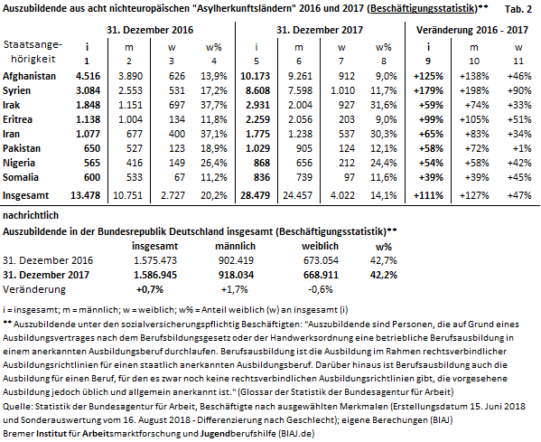 2018 08 21 biaj tab 2 sv azubi asylherkunftslaender i m w 2016 2017 beschaeftigungstatistik