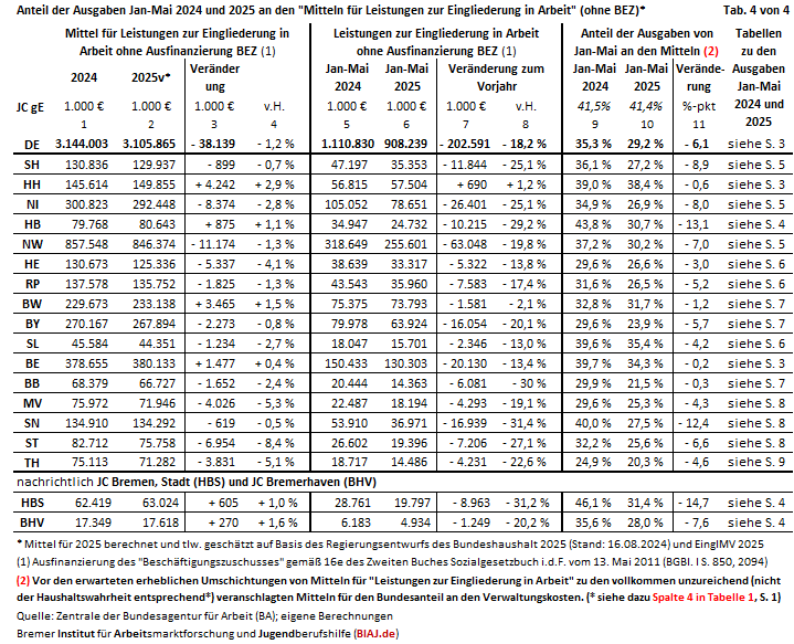 2025 06 05 tabelle 4 auszug aus biaj materialien